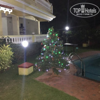 фото из отзыва ID 1682038