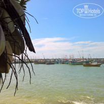 фото из отзыва ID 1681806