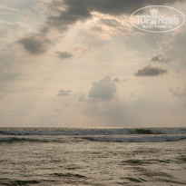 фото из отзыва ID 1682044