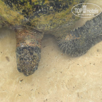 фото из отзыва ID 1682044