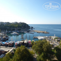 фото из отзыва ID 1682262