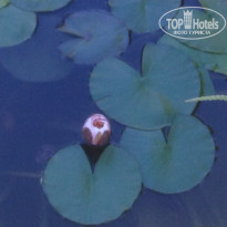 фото из отзыва ID 1682273