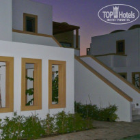 фото из отзыва ID 1682424