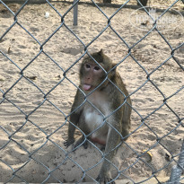 фото из отзыва ID 1682510