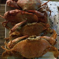 фото из отзыва ID 1682510