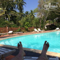 фото из отзыва ID 1682510