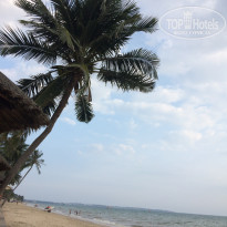 фото из отзыва ID 1682510