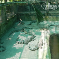 фото из отзыва ID 1682510