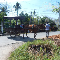 фото из отзыва ID 1682510