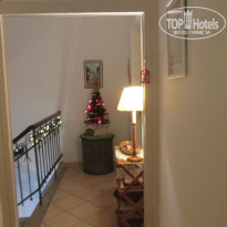 фото из отзыва ID 1682537