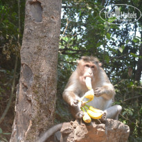 фото из отзыва ID 1682591