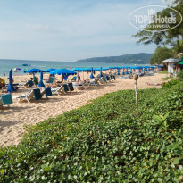 фото из отзыва ID 1682625