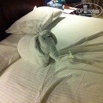 фото из отзыва ID 1682739