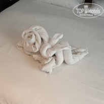 фото из отзыва ID 1682829