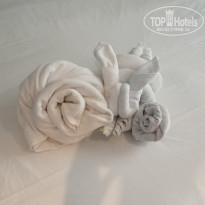 фото из отзыва ID 1682829