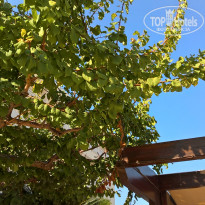 фото из отзыва ID 1682881