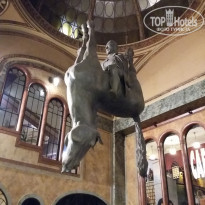 фото из отзыва ID 1682886