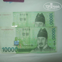 фото из отзыва ID 1682892