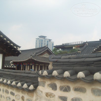 фото из отзыва ID 1682892