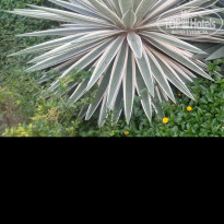 фото из отзыва ID 1682967