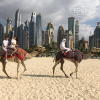 фото из отзыва ID 1682556