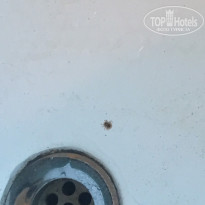 фото из отзыва ID 1683068