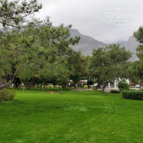 фото из отзыва ID 1682807