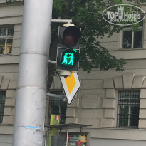 фото из отзыва ID 1683408