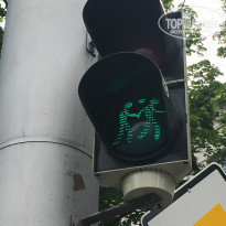 фото из отзыва ID 1683408