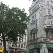 фото из отзыва ID 1683408