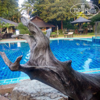 фото из отзыва ID 1683495