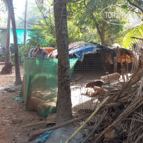 фото из отзыва ID 1683532