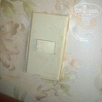 фото из отзыва ID 1683552