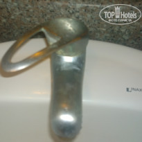 фото из отзыва ID 1683552