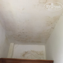 фото из отзыва ID 1683564