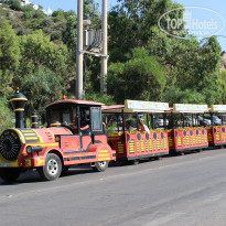 фото из отзыва ID 1683581