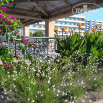 фото из отзыва ID 1683581