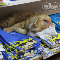 фото из отзыва ID 1683581