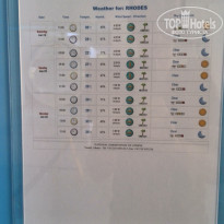 фото из отзыва ID 1683581