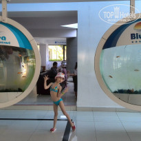 фото из отзыва ID 1683581