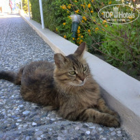 фото из отзыва ID 1683581