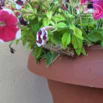 фото из отзыва ID 1683581