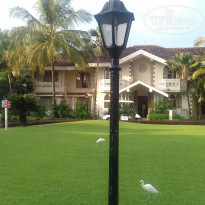 фото из отзыва ID 1682913