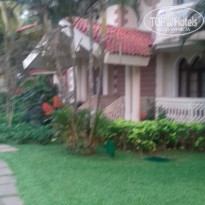 фото из отзыва ID 1682913