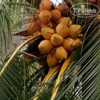 фото из отзыва ID 1683621