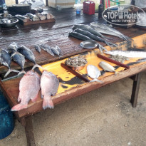 фото из отзыва ID 1683621