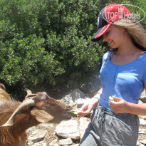 фото из отзыва ID 1683695