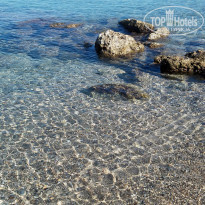 фото из отзыва ID 1683711