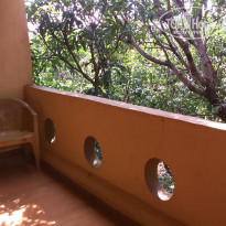 фото из отзыва ID 1683863