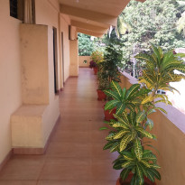 фото из отзыва ID 1683863